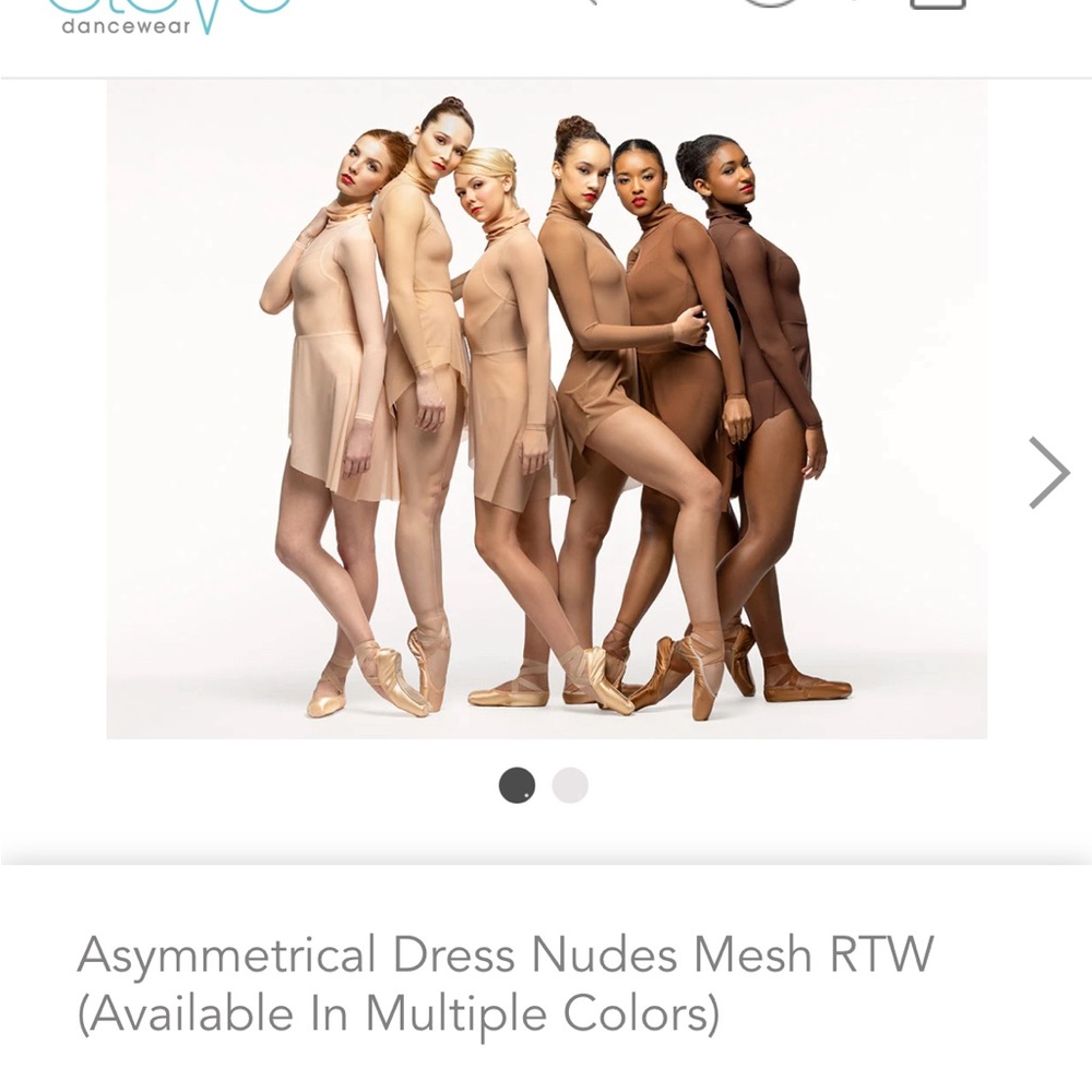 Eleve Sheer Dress in Tan